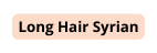 Long Hair Syrian