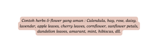 Contoh herbs flower yang aman Calendula hay rose daisy lavender apple leaves cherry leaves cornflower sunflower petals dandelion leaves amarant mint hibiscus dll